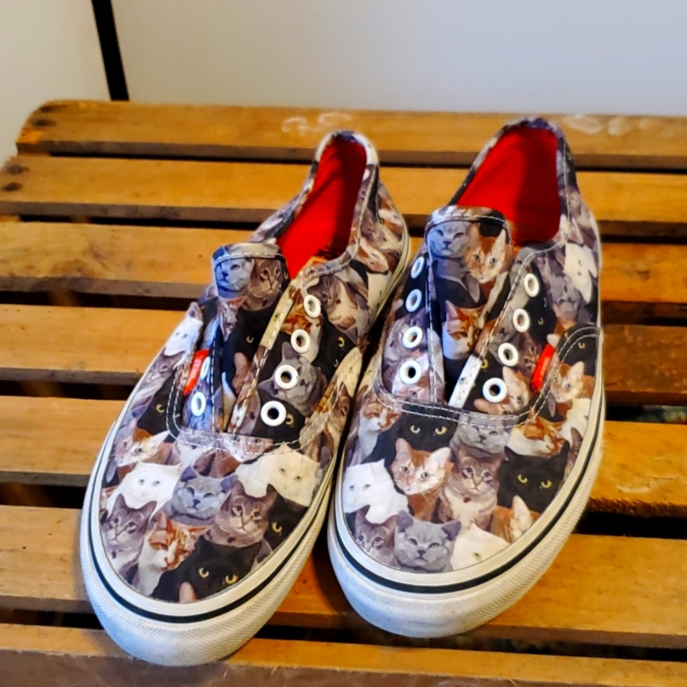 Cat Van's